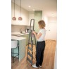 Stahlleiter 5 Stufen 125 Kg HOME